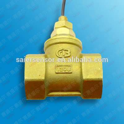 SEN-HS15 electronic water flowmeter magnetic flow sensor water flow sensor