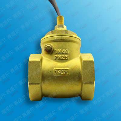 SEN-DB40 electronic water flowmeter magnetic flow sensor water flow sensor